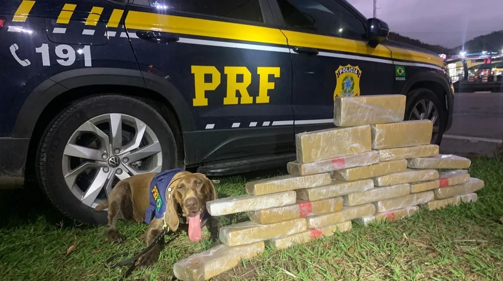 PRF apreende 105 kg de maconha e 56 munições na Ponte Ayrton Senna