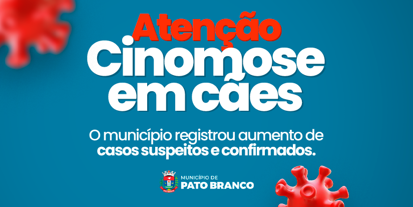 Pato Branco alerta para aumento de casos de cinomose em cães e reforça vacinação