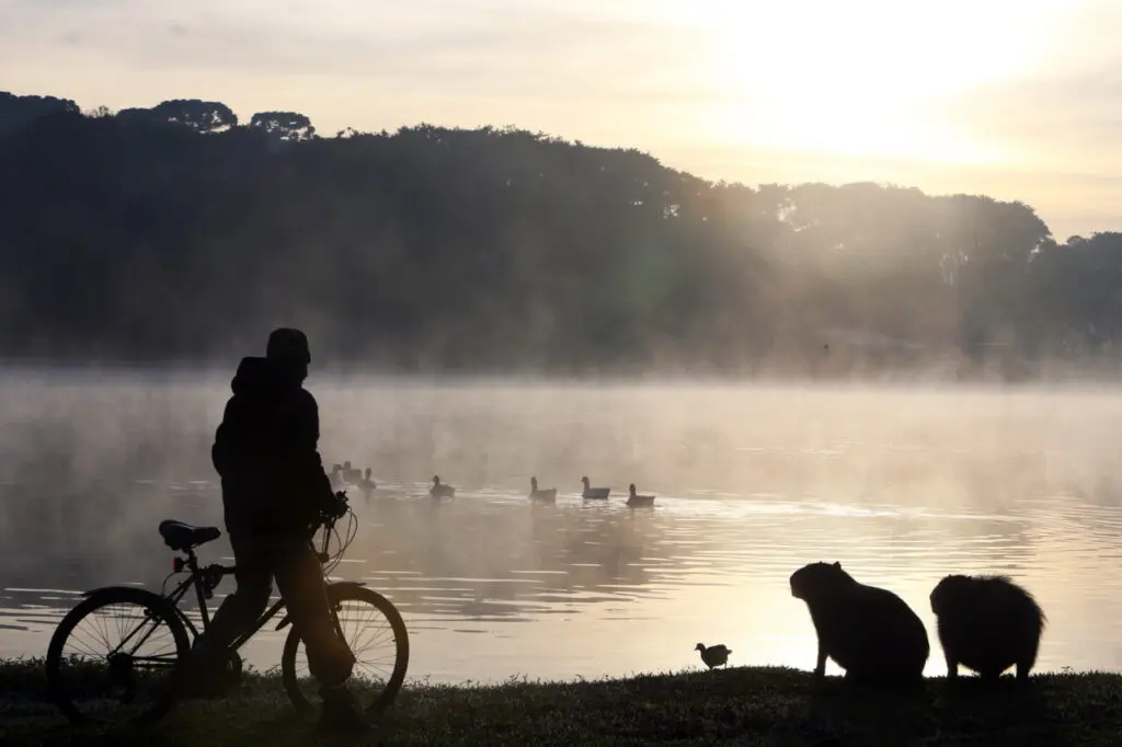 Frio fora de época quebra recordes no Paraná e mínima prevista chega a 12°C