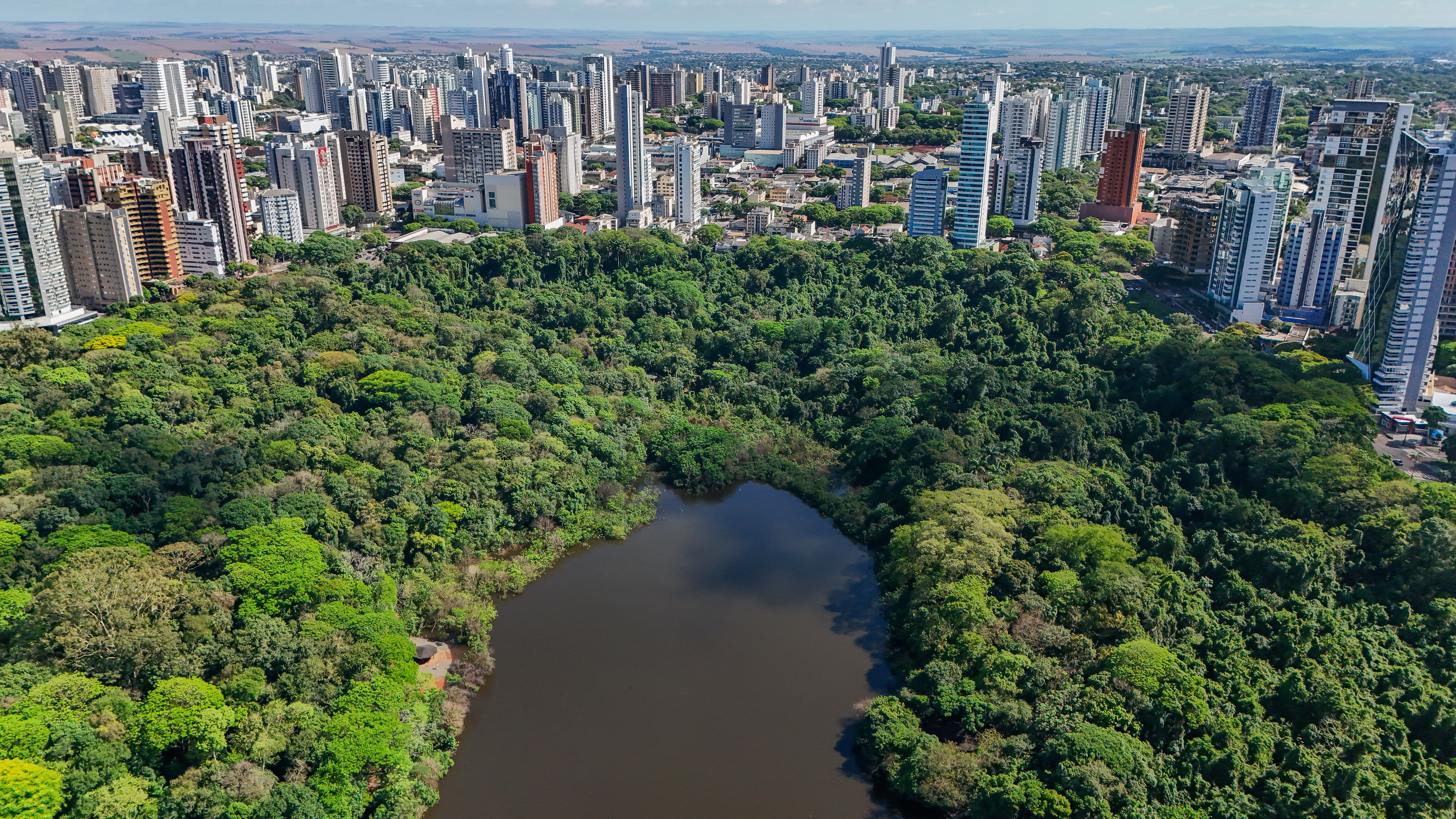 Maringá aprova projeto que inclui custo ambiental em licitações da prefeitura