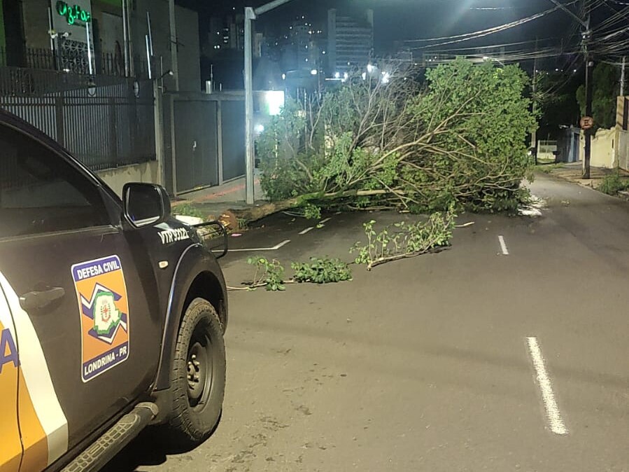 Chuva e vento forte derrubam 33 árvores e causam destelhamentos no fim de semana
