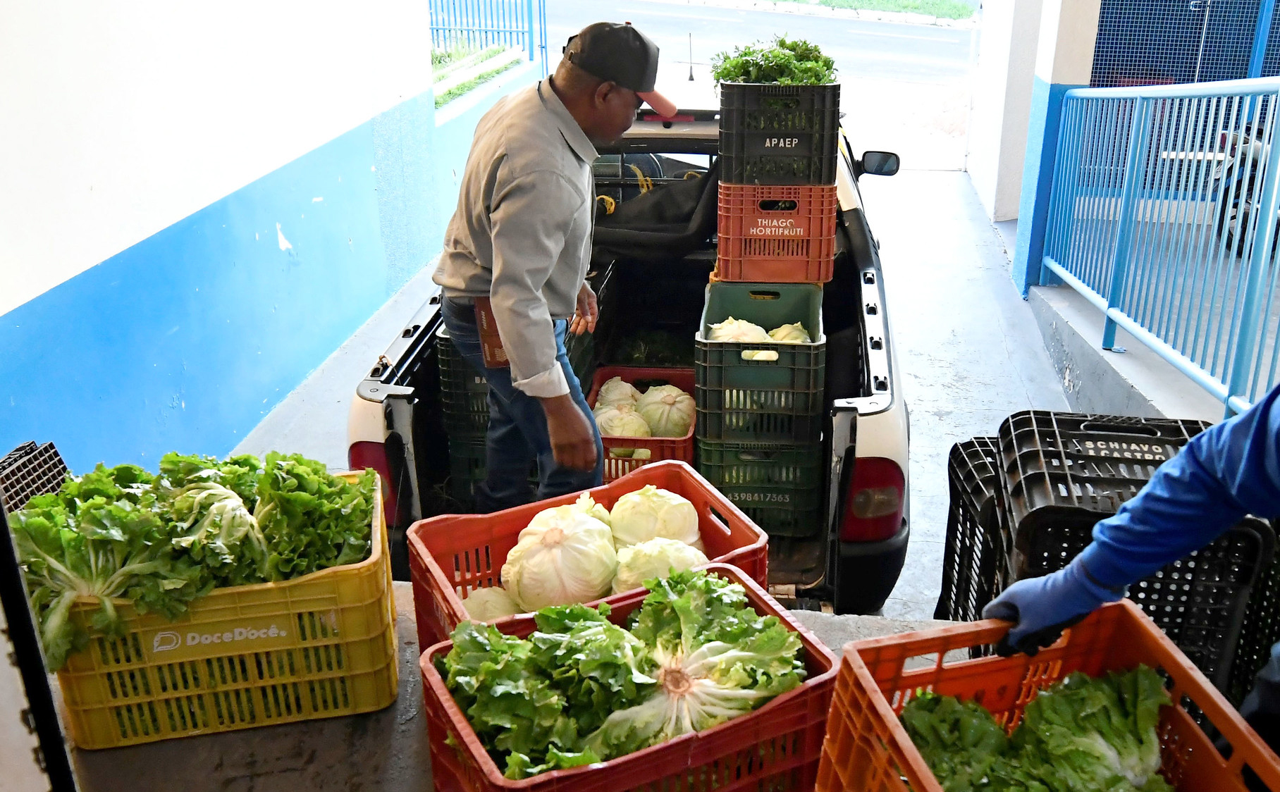 Seminário Regional debate segurança alimentar e agricultura familiar em 5 de novembro