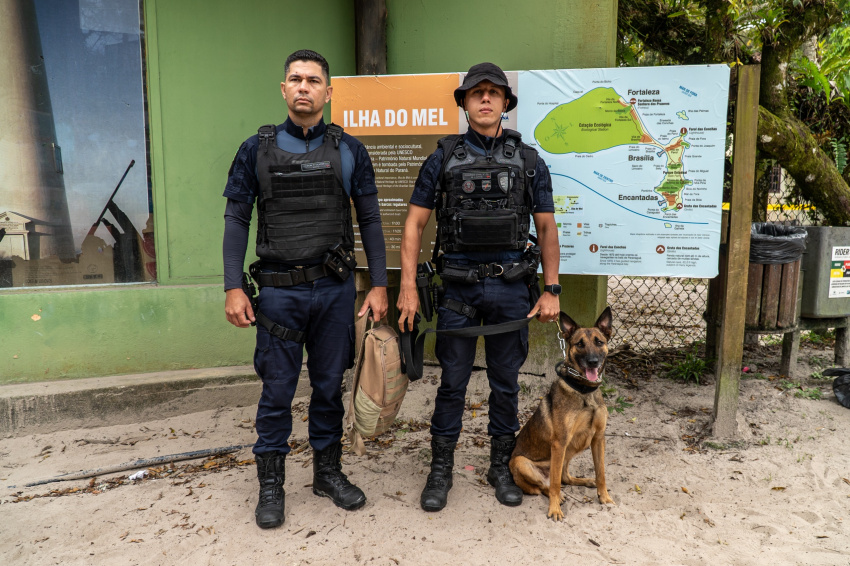 Cadela K9 passa por treinamento para atuar contra o tráfico de drogas