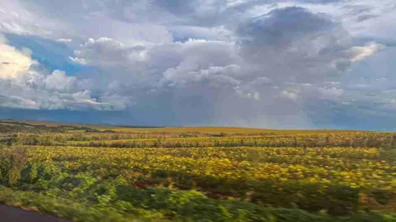 El Niño deve aumentar chuva no Sul e manter temperaturas acima da média no Paraná