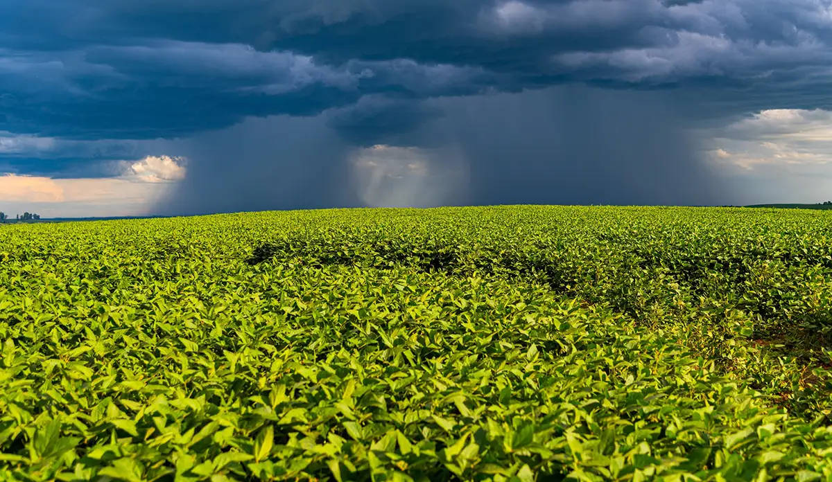Produtores rurais do Paraná já podem pedir renegociação de dívidas
